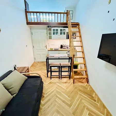 Apartment Cozy Design With Terrace *